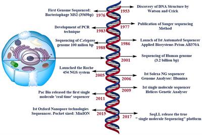 Frontiers | Innovative in Silico Approaches for Characterization